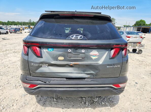 KM8JBCD18RU211788 2024 HYUNDAI TUCSON Gray Вид ззаду