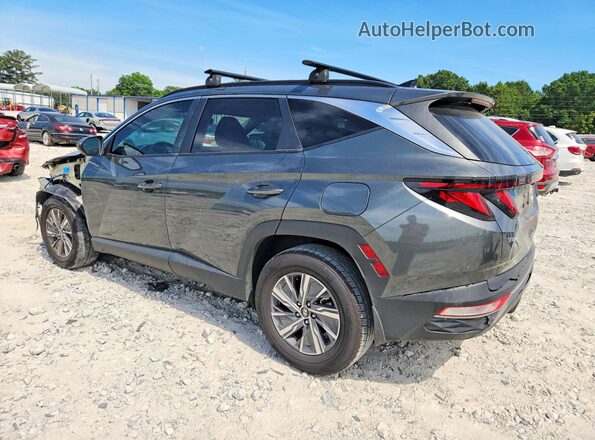 KM8JBCD18RU211788 2024 HYUNDAI TUCSON Gray Задня ліва чверть