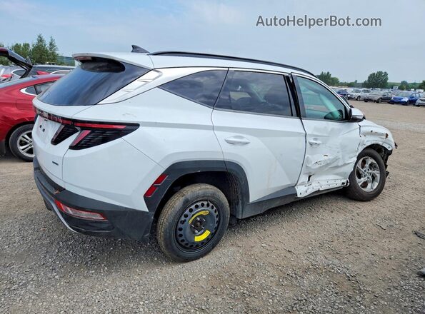 KM8JCCAE6NU035919 2022 HYUNDAI TUCSON White Задня права чверть
