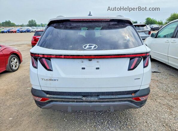 KM8JCCAE6NU035919 2022 HYUNDAI TUCSON White Вид ззаду