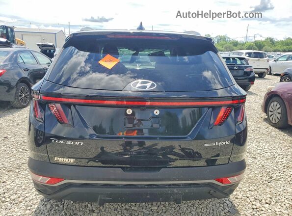 KM8JCCD10RU202046 2024 HYUNDAI TUCSON Black Vista trasera
