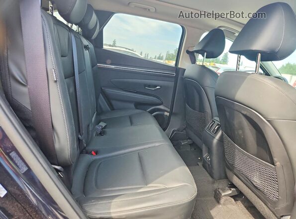 KM8JCCD17RU219541 2024 HYUNDAI TUCSON Черный Вид задней части салона