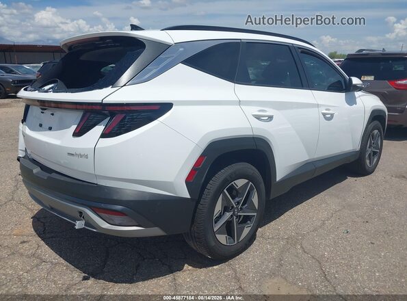 KM8JCDD11SU283439 2025 HYUNDAI TUCSON HYBRID White Trasero derecho