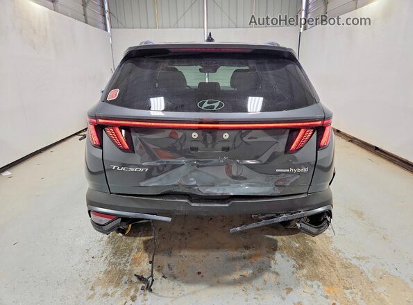 KM8JCDD12TU450005 2026 HYUNDAI TUCSON Gray Vista trasera