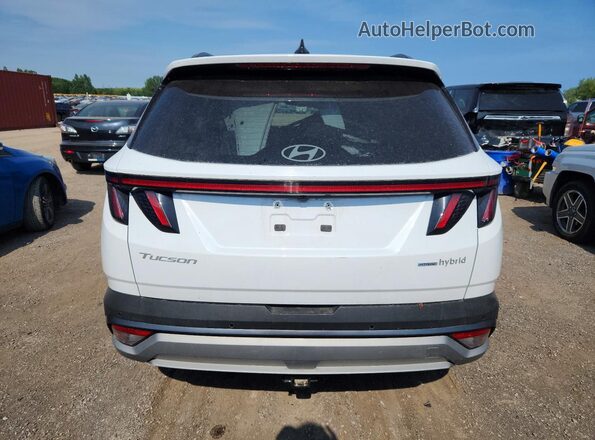 KM8JCDD17SU320414 2025 HYUNDAI TUCSON White Rear view