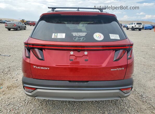 KM8JCDD18SU274818 2025 HYUNDAI TUCSON Red Widok z tyłu