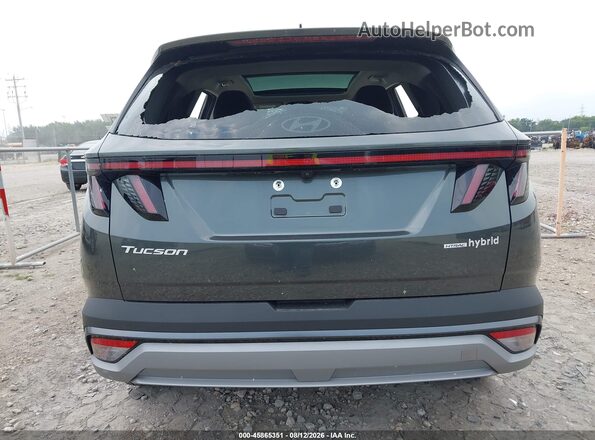 KM8JCDD19SU321886 2025 HYUNDAI TUCSON HYBRID Gray 
