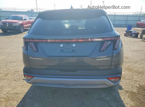 KM8JCDD19TU473068 2026 HYUNDAI TUCSON Gray Հետևի տեսք