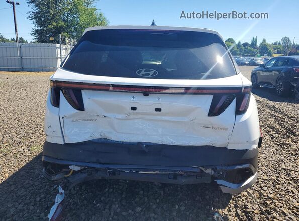 KM8JCDD1XTU454223 2026 HYUNDAI TUCSON Белый Вид сзади