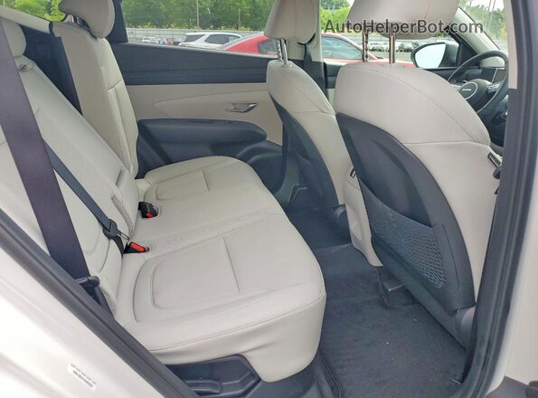KM8JCDD1XTU454223 2026 HYUNDAI TUCSON Белый Вид задних сидений