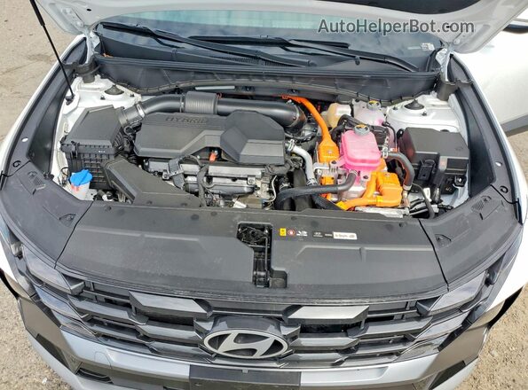 KM8JCDD1XTU454223 2026 HYUNDAI TUCSON Белый Вид задней части салона