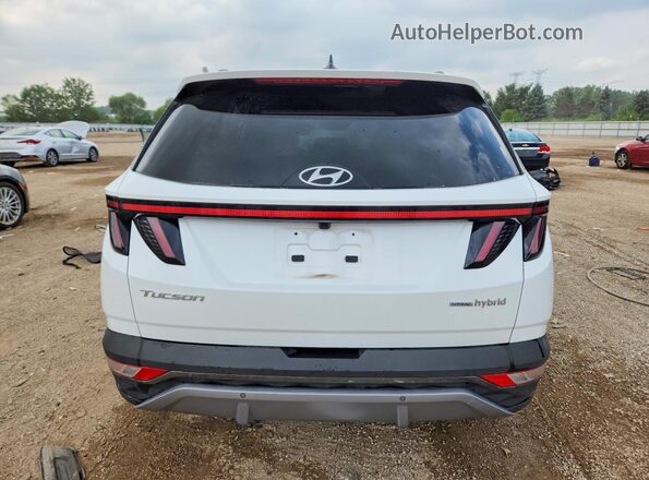 KM8JECA12NU034239 2022 HYUNDAI TUCSON White უკანა ხედი