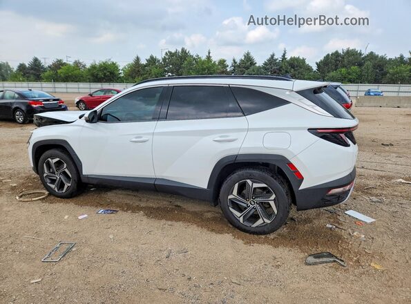 KM8JECA12NU034239 2022 HYUNDAI TUCSON White უკანა მარცხენა