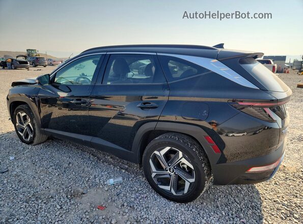 KM8JECA17PU135330 2023 HYUNDAI TUCSON Черный Задняя левая четверть