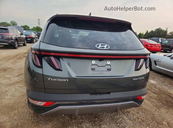 KM8JECD10RU200727 2024 HYUNDAI TUCSON Gray Widok z tyłu