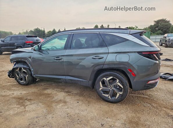 KM8JECD10RU200727 2024 HYUNDAI TUCSON Gray Tył lewy