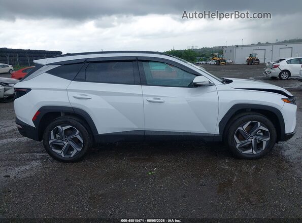 KM8JECD11RU240587 2024 HYUNDAI TUCSON HYBRID Белый Вид задней части салона