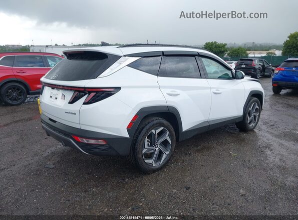 KM8JECD11RU240587 2024 HYUNDAI TUCSON HYBRID Белый Задняя правая четверть