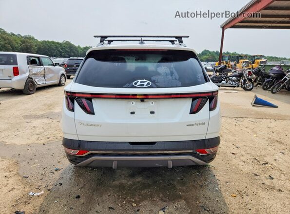 KM8JECD13RU200348 2024 HYUNDAI TUCSON Белый Вид сзади