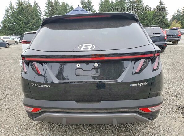 KM8JECD14RU193359 2024 HYUNDAI TUCSON Черный Вид задней части салона