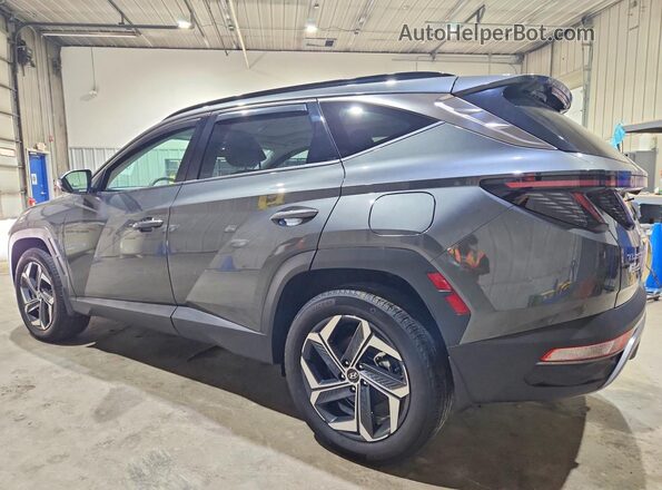 KM8JECD16RU229729 2024 HYUNDAI TUCSON Green Rear left