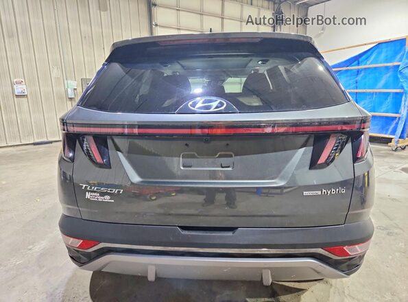 KM8JECD16RU229729 2024 HYUNDAI TUCSON Green Rear view