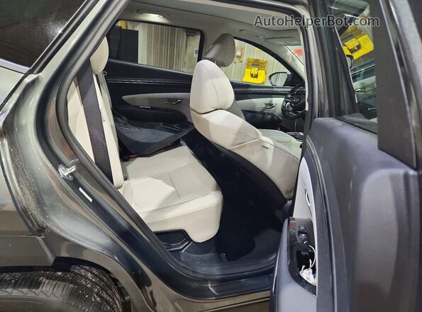 KM8JECD16RU229729 2024 HYUNDAI TUCSON Green Rear interior view