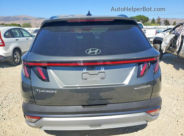 KM8JEDD11TU438518 2026 HYUNDAI TUCSON Charcoal უკანა ხედი