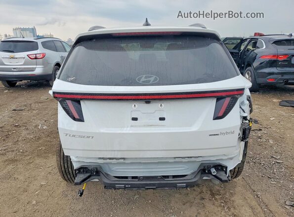 KM8JEDD16TU444833 2026 HYUNDAI TUCSON White უკანა ხედი