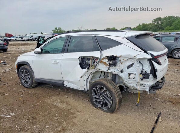 KM8JEDD16TU444833 2026 HYUNDAI TUCSON White უკანა მარცხენა