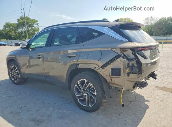 KM8JEDD17SU394944 2025 HYUNDAI TUCSON Tan უკანა მარცხენა