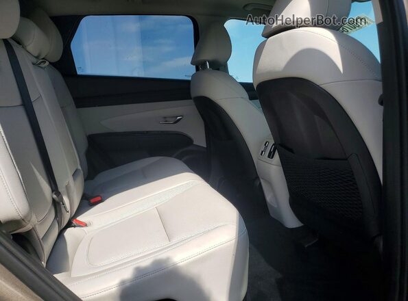 KM8JEDD17SU394944 2025 HYUNDAI TUCSON Tan უკანა სალონის ხედი