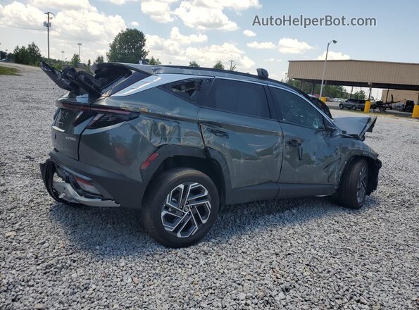 KM8JEDD17SU395012 2025 HYUNDAI TUCSON Серый 