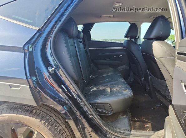 KM8JF3AE2PU174603 2023 HYUNDAI TUCSON Blue Vista interior trasera