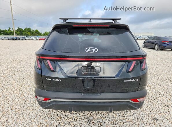 KM8JFCA10PU092589 2023 HYUNDAI TUCSON Black Vista trasera