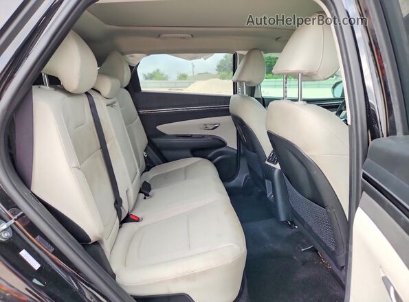 KM8JFCA10PU092589 2023 HYUNDAI TUCSON Black Vista de los asientos traseros