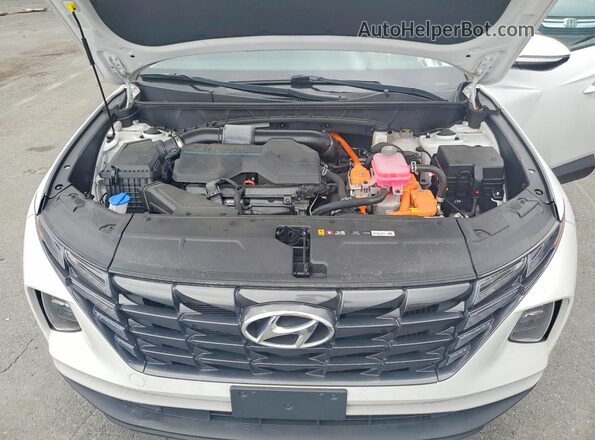 KM8JFCA13PU108610 2023 HYUNDAI TUCSON White უკანა სალონის ხედი