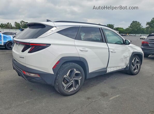 KM8JFCA13PU108610 2023 HYUNDAI TUCSON White უკანა მარჯვენა