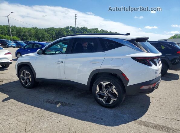 KM8JFCA17NU024531 2022 HYUNDAI TUCSON White Tył lewy
