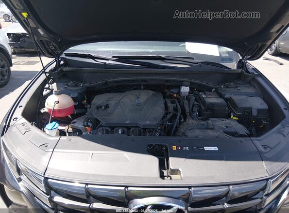 KM8JFCAE5PU188009 2023 HYUNDAI TUCSON Black Widok z tyłu