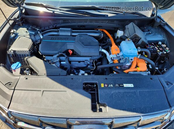 KM8JFDD27RU205581 2024 HYUNDAI TUCSON Серый Вид задней части салона