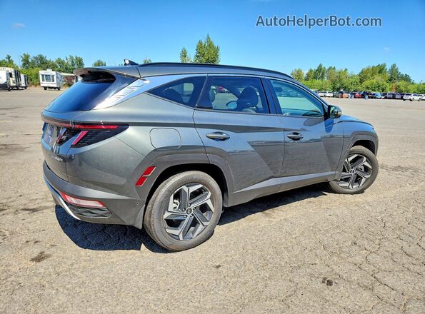 KM8JFDD27RU205581 2024 HYUNDAI TUCSON Серый Задняя правая четверть