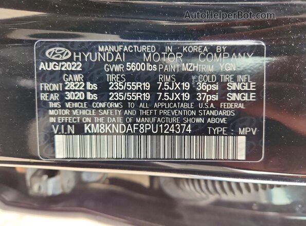 KM8KNDAF8PU124374 2023 HYUNDAI IONIQ Черный Вид наклейки с VIN-кодом