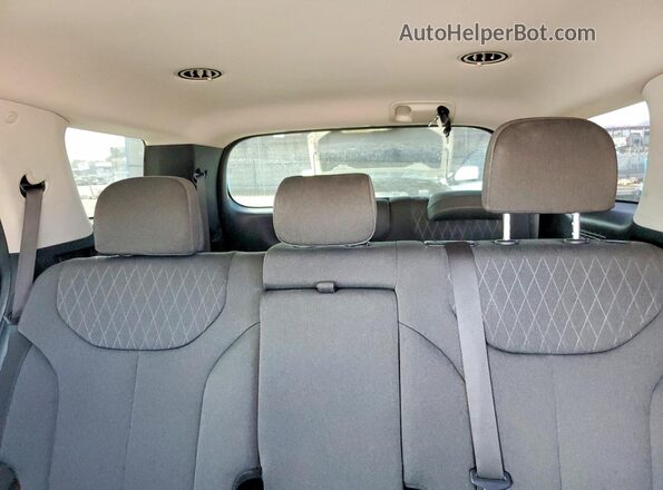 KM8R14HE1LU111998 2020 HYUNDAI PALISADE Black Rear seats view