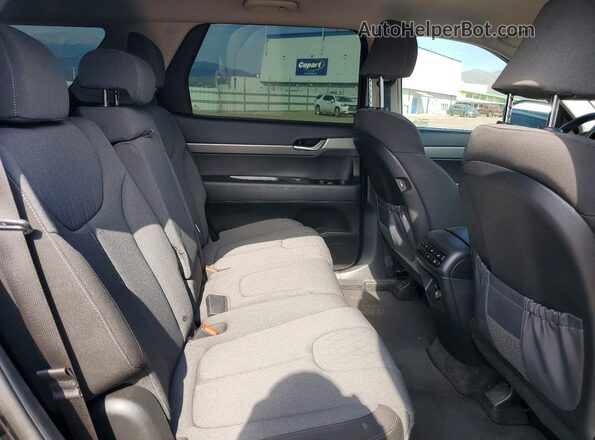 KM8R14HE1LU111998 2020 HYUNDAI PALISADE Black Rear interior view