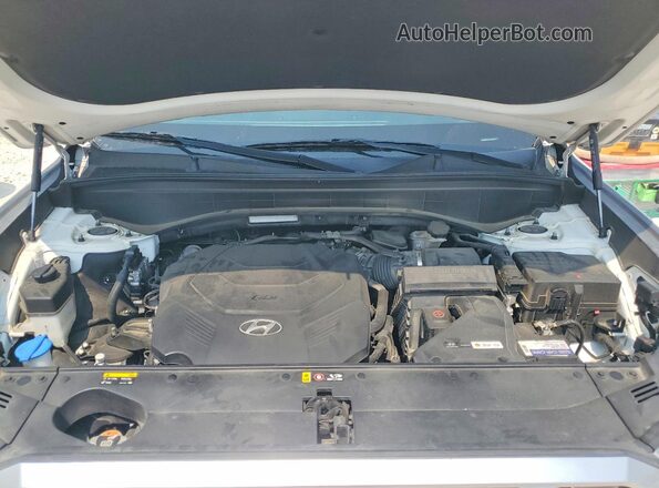 KM8R14HE9LU094321 2020 HYUNDAI PALISADE White 