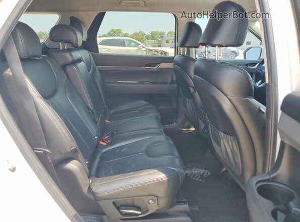 KM8R14HE9LU094321 2020 HYUNDAI PALISADE White 