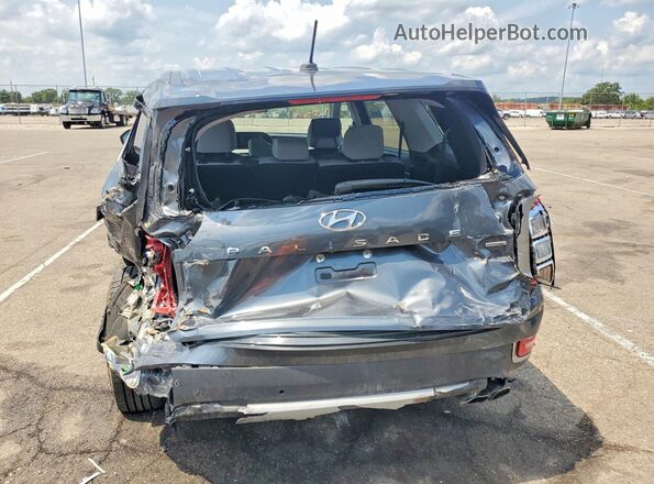 KM8R1DHE0LU137914 2020 HYUNDAI PALISADE Серый Вид сзади
