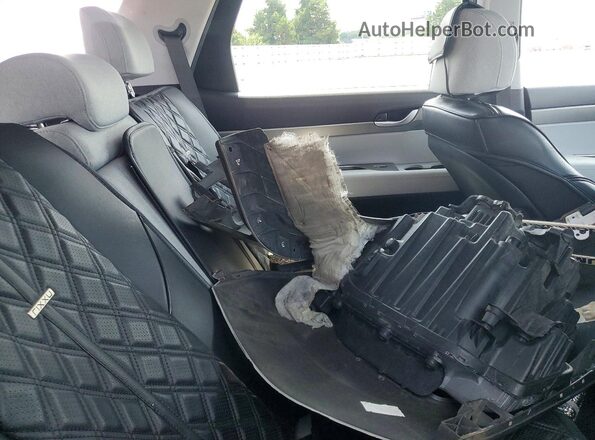 KM8R1DHE0LU137914 2020 HYUNDAI PALISADE Серый Вид задней части салона