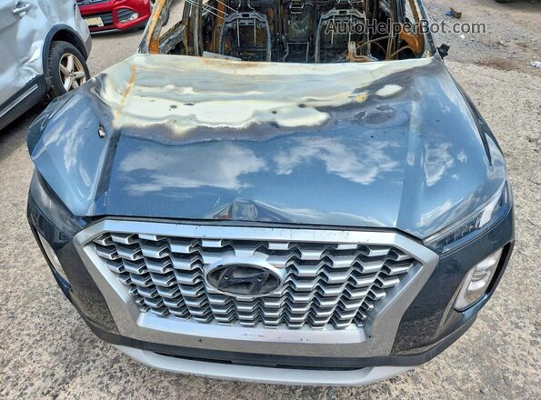 KM8R1DHE3LU043946 2020 HYUNDAI PALISADE Gray Vista del compartimento del motor